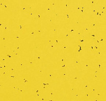 Линолеум Forbo Sphera Energetic 50201 yellow фото 1 | FLOORDEALER